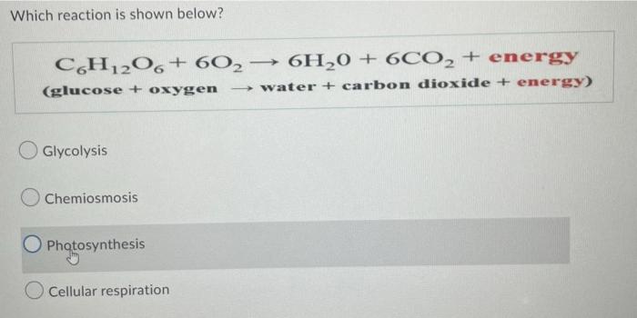 Which Reaction Is Shown Below C6h12o6 60 6h 0 6co Energy Glucose Oxygen Water Carbon Dioxide Energy Gl 1