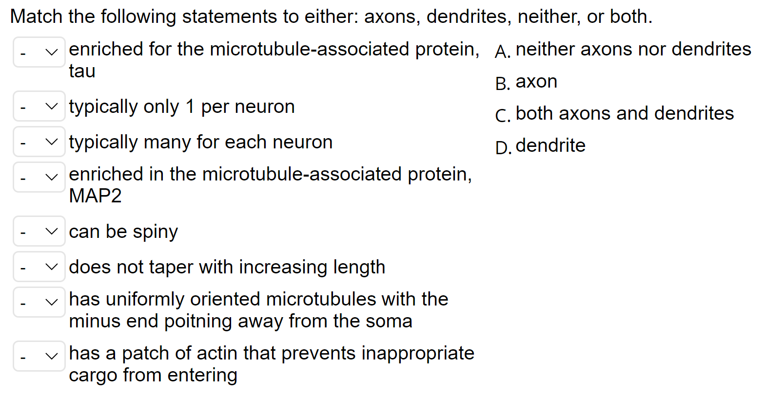 Match The Following Statements To Either Axons Dendrites Neither Or Both Enriched For The Microtubule Associated Pr 1