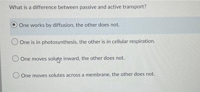In Cam Plants Co2 Uptake Is Separated From Rubisco Activity In Time In Location By Electronegative Interactions By Hyd 2