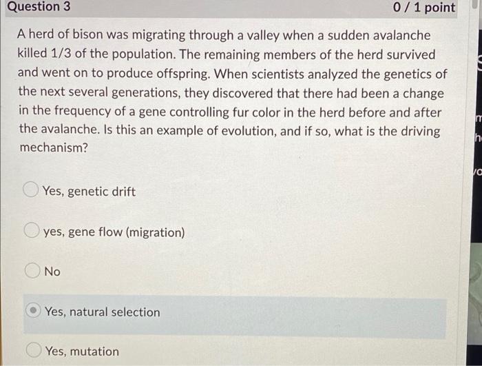 Question 3 0 1 Point A Herd Of Bison Was Migrating Through A Valley When A Sudden Avalanche Killed 1 3 Of The Population 1