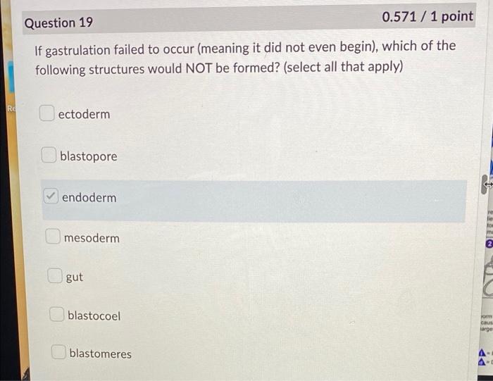 Question 12 0 1 Point While Dissecting A Worm In Lab You First Cut Through The Cells Of The Outer Body Wall Derived Fr 3
