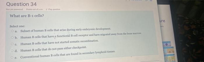 Question 34 Not Yet Answered Points Out Of 2 00 Flag Question What Are B 1 Cells Select One O A Subset Of Human B Cel 1