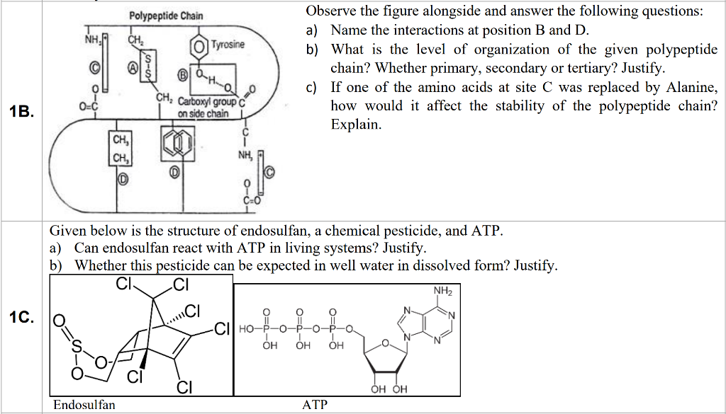 1b 1c Nh F Polypeptide Chain Ch Ch Ch Endosulfan Otyrosine O H Ch Carboxyl Group C On Side Chain O C 0 Given B 1