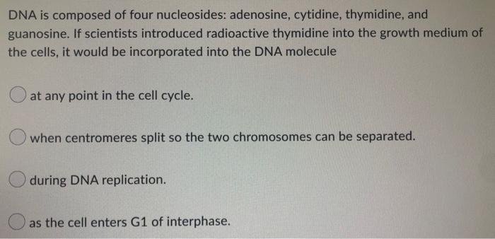 Dna Is Composed Of Four Nucleosides Adenosine Cytidine Thymidine And Guanosine If Scientists Introduced Radioactive 1