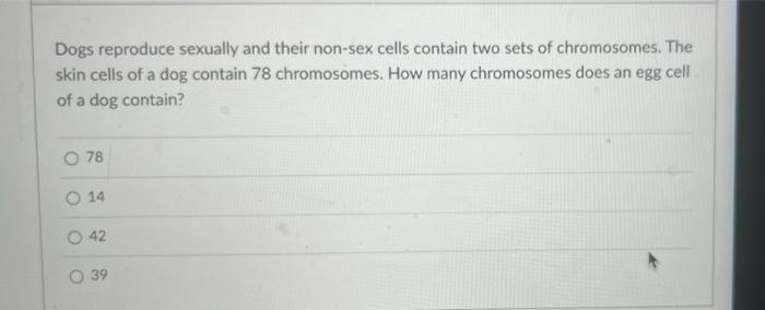 Dogs Reproduce Sexually And Their Non Sex Cells Contain Two Sets Of Chromosomes The Skin Cells Of A Dog Contain 78 Chro 1
