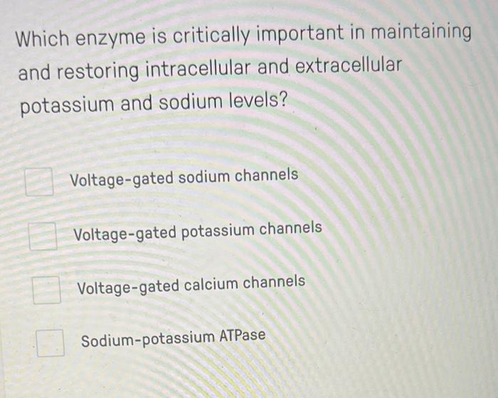 Which Enzyme Is Critically Important In Maintaining And Restoring Intracellular And Extracellular Potassium And Sodium L 1