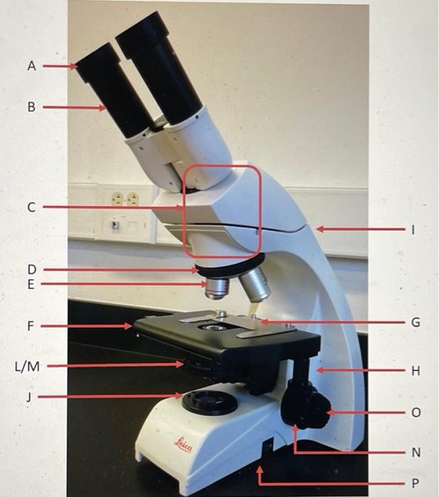 Condenser Ocular Lens Mechanical Stage Control Rotating Nose Piece Ocular Housing Slide Holder Stage Clips Eye Piece Bas 1