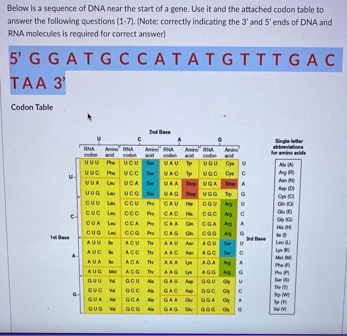 What Is The Complementary Strand Sequence Using The Template Strand Dna What Is The Mrna Sequence Which Is The Start 3