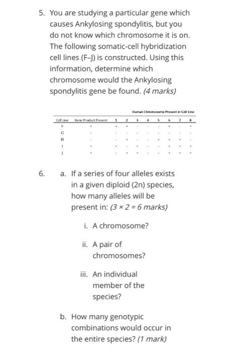 1 In Chickens The Shape Of The Comb Is Determined By The Interaction Of Alleles At Two Loci A A And B B There Ar 5