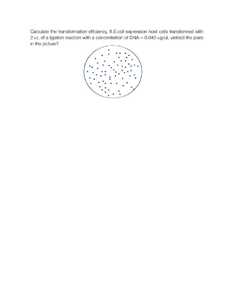 Calculate The Transformation Efficiency If E Coli Expression Host Cells Transformed With 2 Ul Of A Ligation Reaction Wi 1