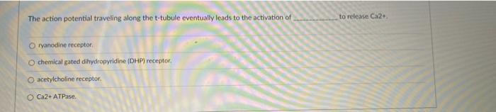 The Action Potential Traveling Along The T Tubule Eventually Leads To The Activation Of O Ryanodine Receptor O Chemical 1