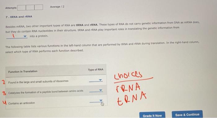 Attempts 7 Trna And Rrna Besides Mrna Two Other Important Types Of Rna Are Trna And Rrna These Types Of Rna Do Not Ca 1