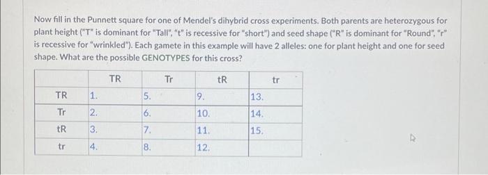 Now Fill In The Punnett Square For One Of Mendel S Dihybrid Cross Experiments Both Parents Are Heterozygous For Plant H 1