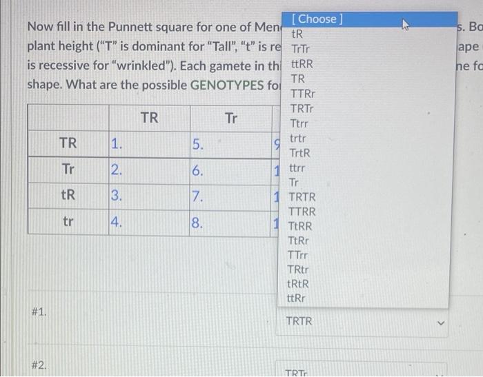 Now Fill In The Punnett Square For One Of Mendel S Dihybrid Cross Experiments Both Parents Are Heterozygous For Plant H 2
