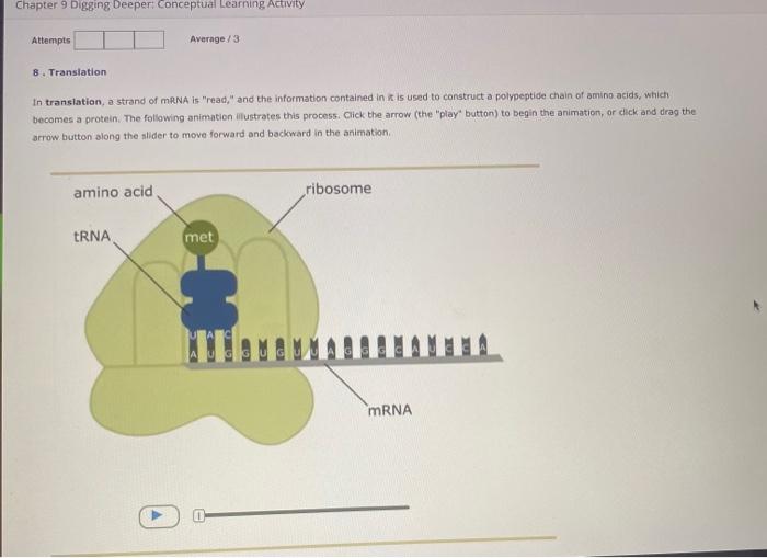 Chapter 9 Digging Deeper Conceptual Learning Activity Attempts 8 Translation In Translation A Strand Of Mrna Is Read 1