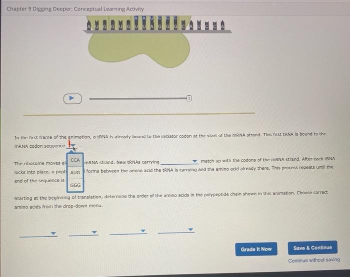 Chapter 9 Digging Deeper Conceptual Learning Activity Attempts 8 Translation In Translation A Strand Of Mrna Is Read 4