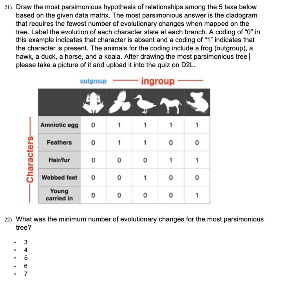 21 Draw The Most Parsimonious Hypothesis Of Relationships Among The 5 Taxa Below Based On The Given Data Matrix The Mo 1