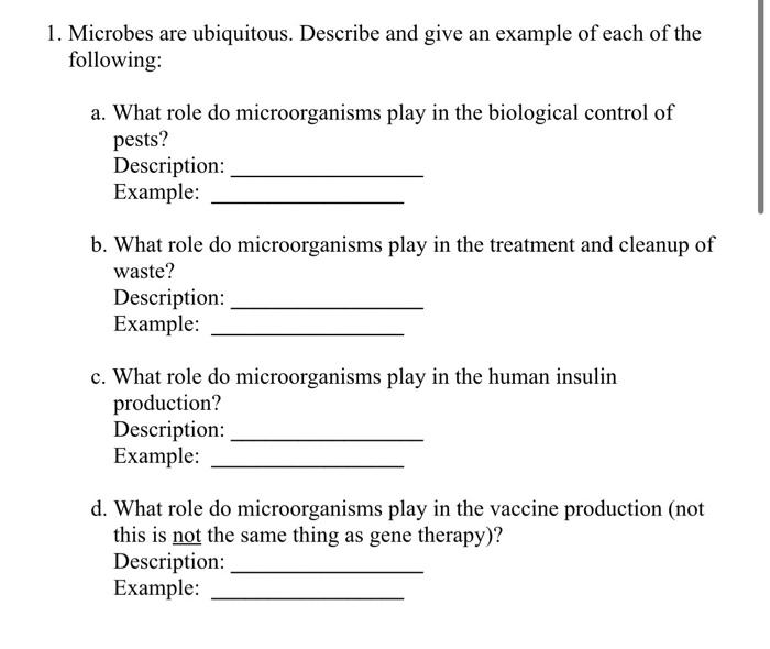 1 Microbes Are Ubiquitous Describe And Give An Example Of Each Of The Following A What Role Do Microorganisms Play I 1