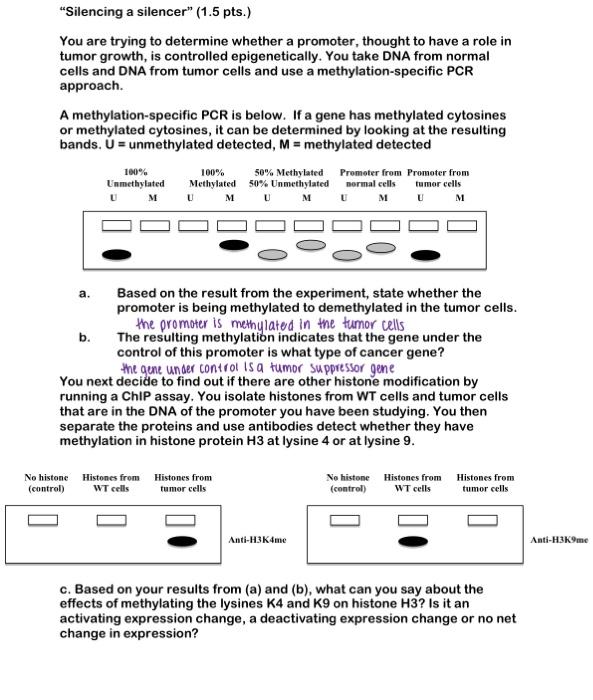 Silencing A Silencer 1 5 Pts You Are Trying To Determine Whether A Promoter Thought To Have A Role In Tumor Growth 1