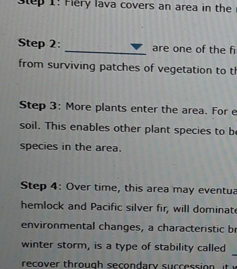 Fiery Lava Covers An Area In The Step 2 Are One Of The Fi From Surviving Patches Of Vegetation To Th Step 3 More Plant 1