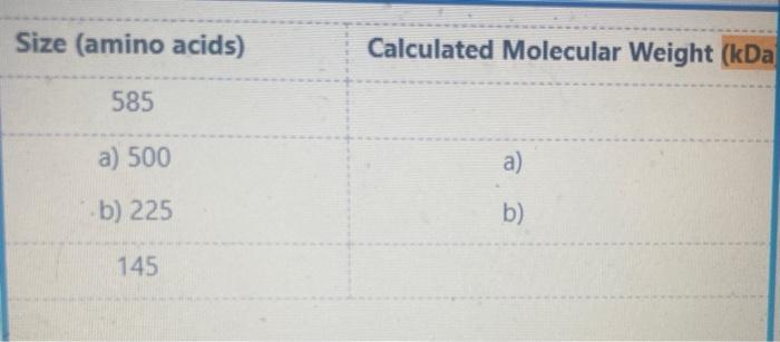 Size Amino Acids 585 A 500 B 225 145 Calculated Molecular Weight Kda A B 1