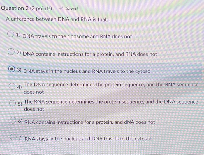 Question 2 2 Points Saved A Difference Between Dna And Rna Is That 1 Dna Travels To The Ribosome And Rna Does Not 1