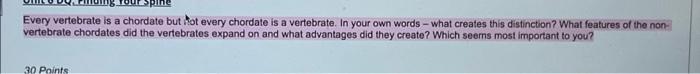 Every Vertebrate Is A Chordate But Not Every Chordate Is A Vertebrate In Your Own Words What Creates This Distinction 1