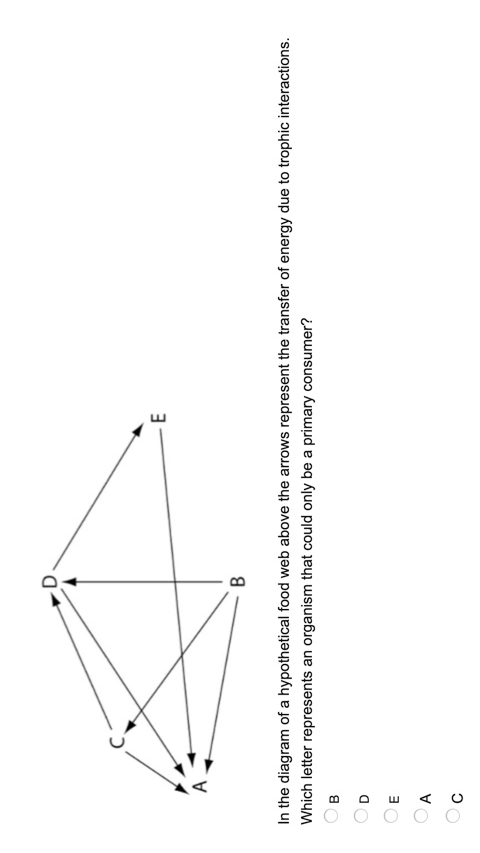 Use The Diagram Of A Hypothetical Food Web Below To Answer The Following Questions The Arrows Represent The Transfer Of 1