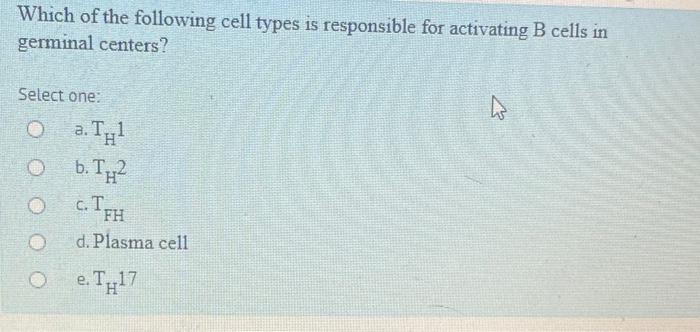 Which Of The Following Cell Types Is Responsible For Activating B Cells In Germinal Centers Select One O A Tul B T2 1