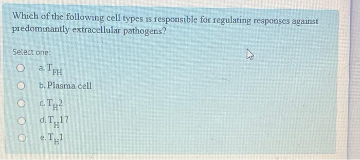 Which Of The Following Cell Types Is Responsible For Regulating Responses Against Predominantly Extracellular Pathogens 1