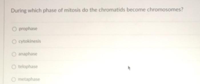 Question 13 Chondrosarcoma Is O A Malignant Tumor Of Cartilage O A Benign Tumor Of Cartilage That Often Becomes Maligna 2