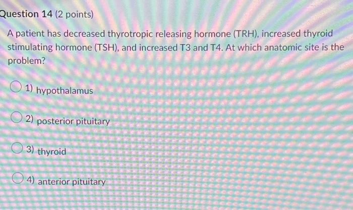 Question 14 2 Points A Patient Has Decreased Thyrotropic Releasing Hormone Trh Increased Thyroid Stimulating Hormon 1