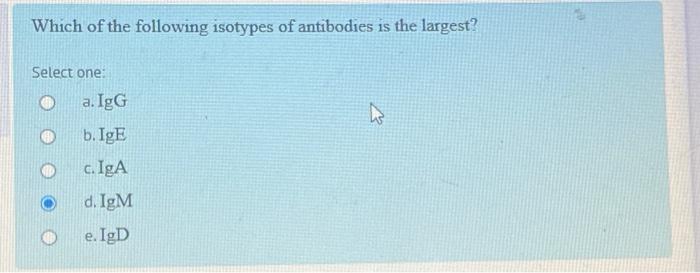 Which Of The Following Isotypes Of Antibodies Is The Largest Select One A Igg B Ige C Iga D Igm E Igd 1