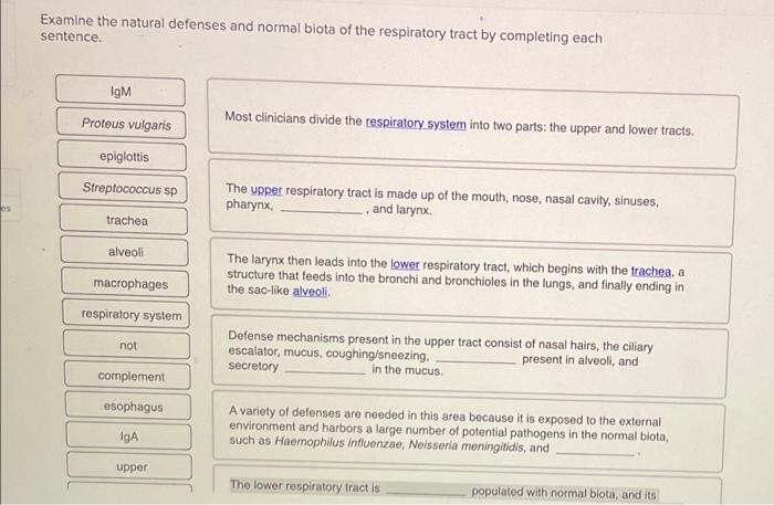 05 Examine The Natural Defenses And Normal Biota Of The Respiratory Tract By Completing Each Sentence Igm Proteus Vulga 1