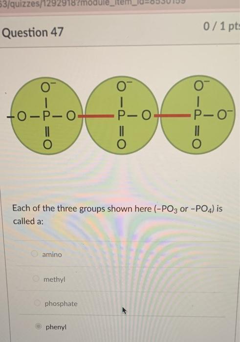 53 Quizzes 1292918 Module Question 47 O O P O O Amino Methyl Phosphate O Phenyl P O Each Of The Three Groups Sho 1