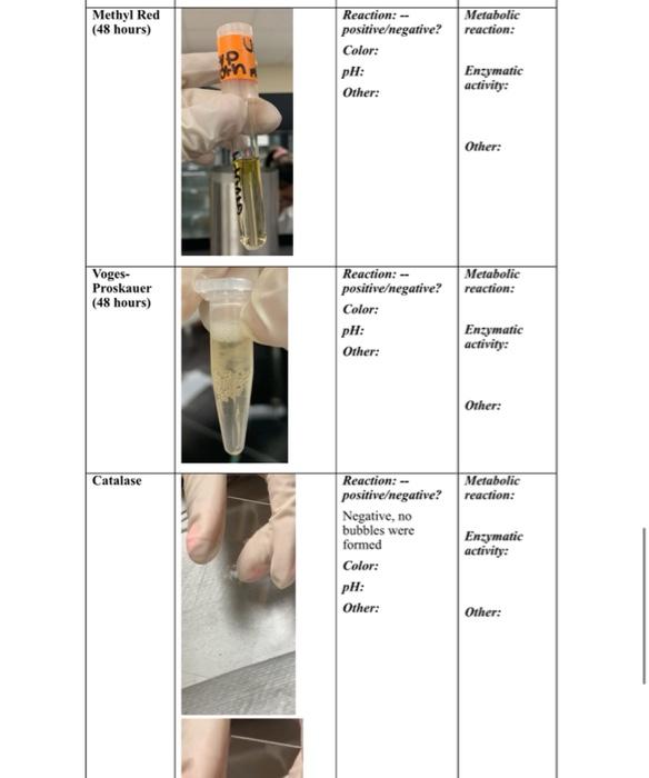 Copy Of Class Activity 5 Template Table 1 Test Of Medium Kligler S Triple Iron Agar Picture Oil Wi Mil With Pal W Oil 6
