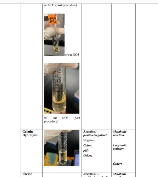 Table 1 Test Of Medium Kligler S Triple Iron Agar Picture Oil Tr01 With Ol Joon Vosty W Oil W Out Result Tube With Oi 4