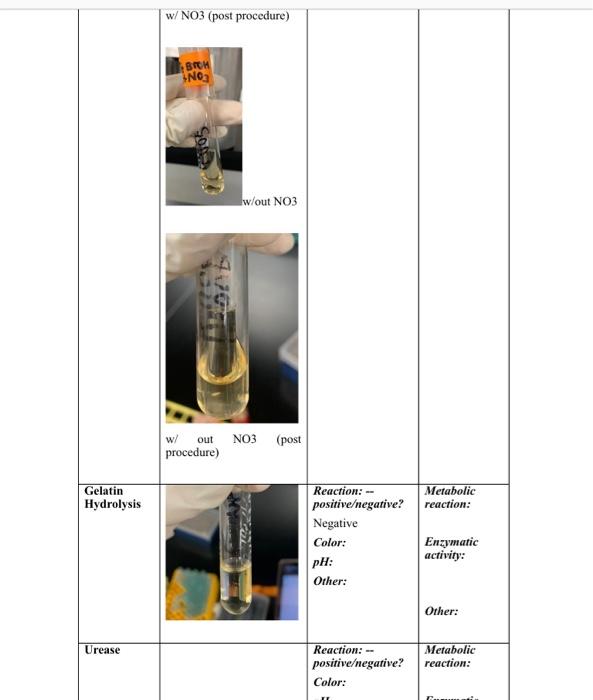 Table 1 Test Of Medium Kligler S Triple Iron Agar Picture Oil Tr01 With Ol Joon Vosty W Oil W Out Result Tube With Oi 5