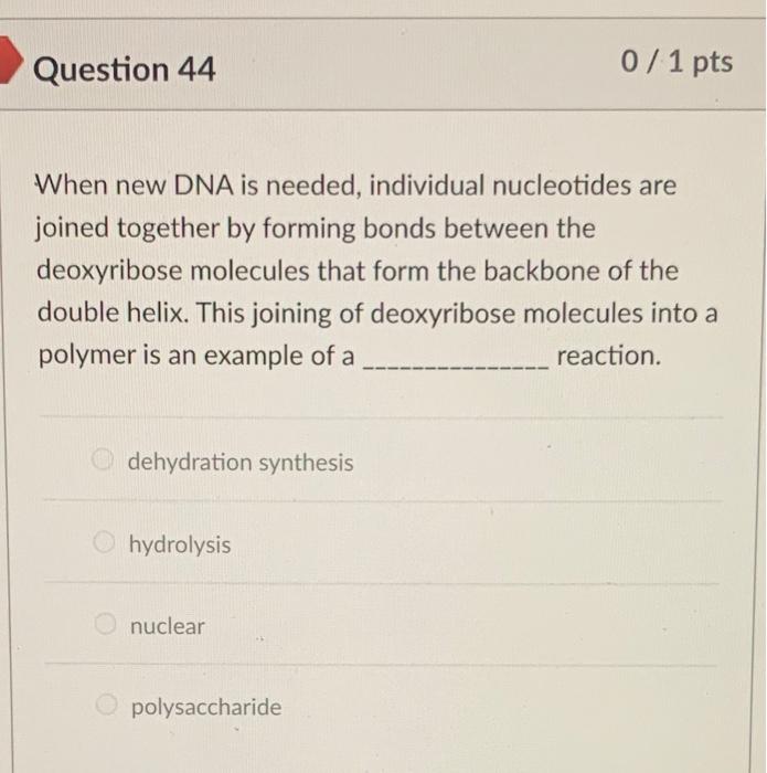 Question 44 When New Dna Is Needed Individual Nucleotides Are Joined Together By Forming Bonds Between The Deoxyribose 1