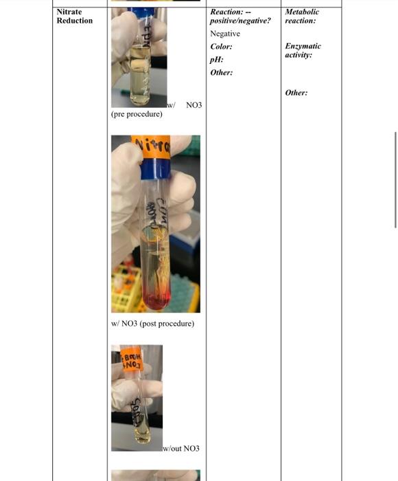 Table 1 Test Of Medium Kligler S Triple Iron Agar Picture Oil W 201 Of With Pol Juon Vos W Oil W Out Result Tube Wit 3