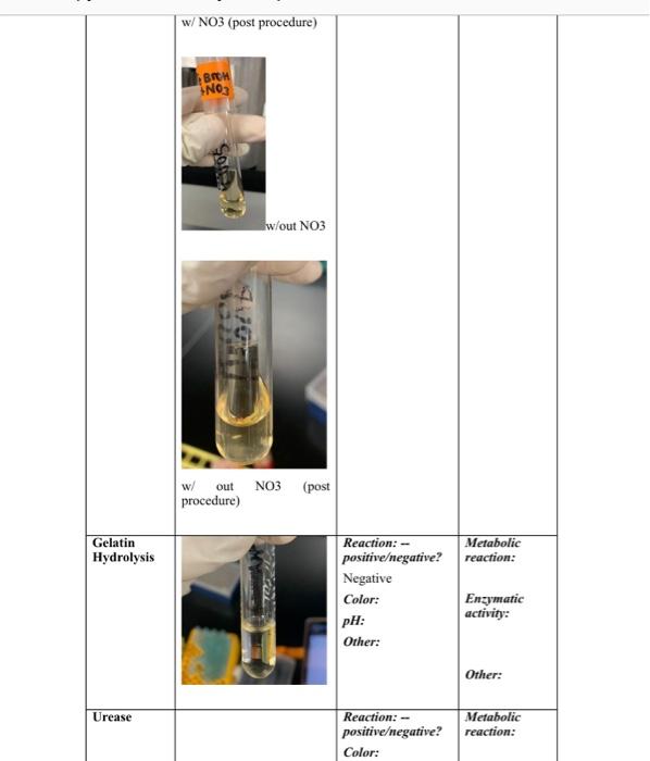 Table 1 Test Of Medium Kligler S Triple Iron Agar Picture Oil W 201 Of With Pol Juon Vos W Oil W Out Result Tube Wit 4