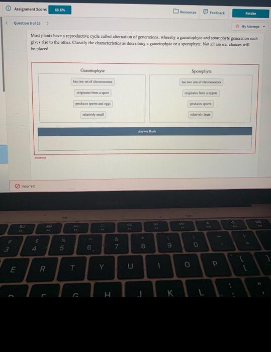 Assignment Score 69 6 Question 8 Of 23 E Incorrect So Most Plants Have A Reproductive Cycle Called Alternation O 1
