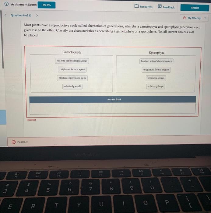 Assignment Score 3 Question 8 Of 23 Lulu E 80 Incorrect 13 Incorrect My Attempt Most Plants Have A Reproductive Cyc 1