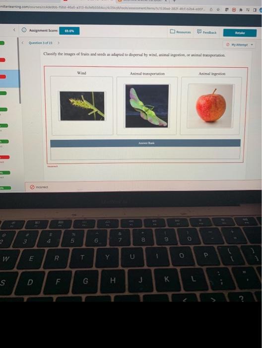 Milaniearning Com Courses Cokdeatb 1560 46af A313 6ce6564cc 4 25ted A 2 W S Assignment Score 65 6 Question 3 Of 1