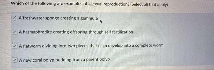 Which Of The Following Are Examples Of Asexual Reproduction Select All That Apply A Freshwater Sponge Creating A Gemm 1