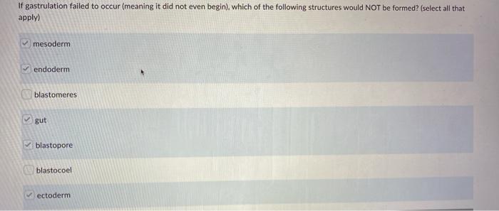Which Of The Following Are Examples Of Asexual Reproduction Select All That Apply A Freshwater Sponge Creating A Gemm 3