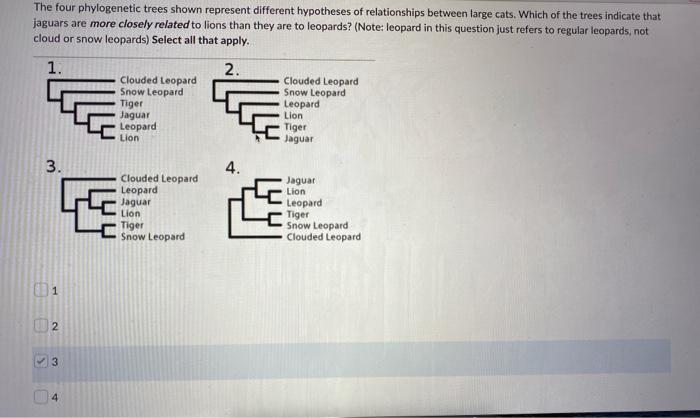 Match The Sponge Cell Types To The Correct Function Note Not All Functions Will Be Used 5 Archaeocytes 2 Sclerocytes 2