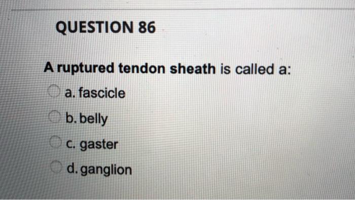 Question 84 After The Myosin Binds To The Myosin Binding Sites What Happens Next A Calcium Binds To The Troponin Trop 3