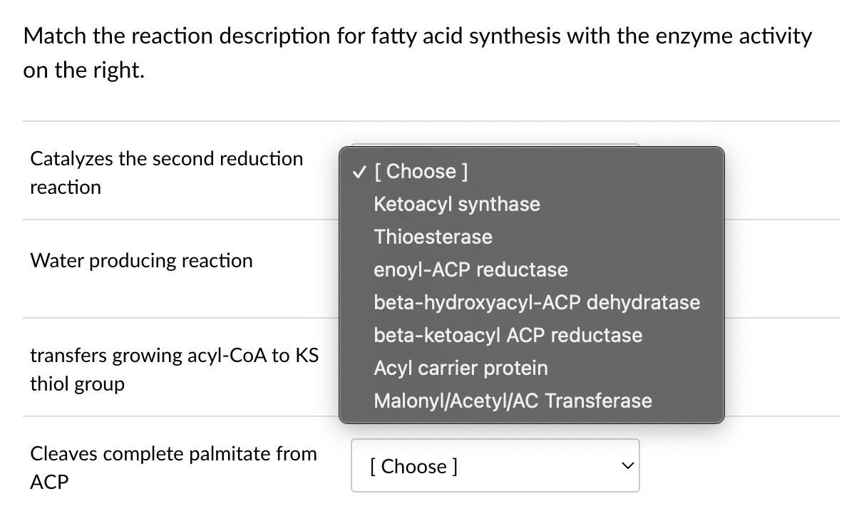 Match The Reaction Description For Fatty Acid Synthesis With The Enzyme Activity On The Right Catalyzes The Second Redu 1