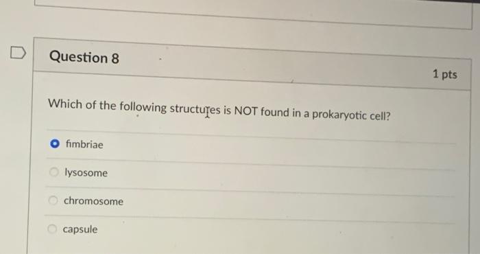 D Question 7 Select The Basic Attributes That Are Found In All Cells Nucleus Dna Cytoskeleton Plasma Membrane 1 Pts Qu 3